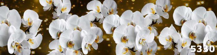 скинали Белые орхидеи