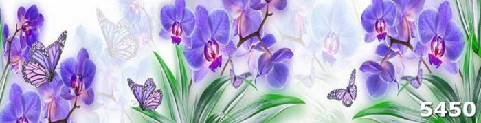 голубые орхидеи скинали