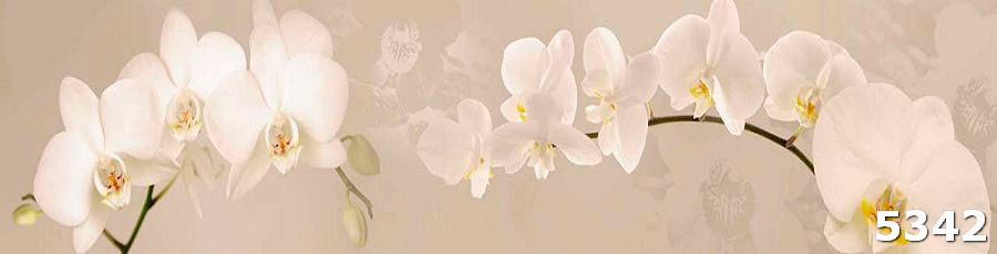 стеклопанель Орхидеи