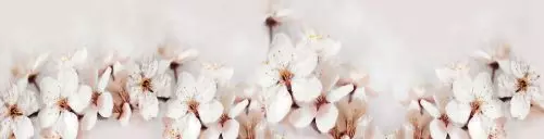 скинали цветы