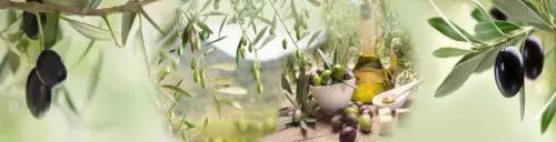 Фартук для кухни Оливки