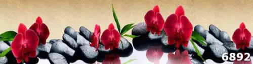 Фартук для кухни Орхидея