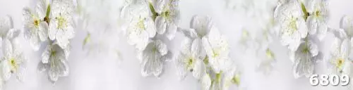 Панель стекло на кухню сакура