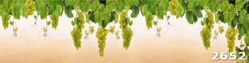 Скинали Виноград