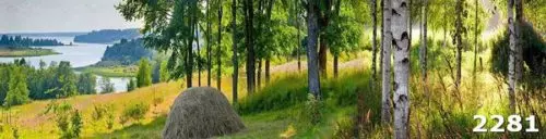 Скинали Природа для кухни