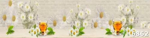 Панель на кухню из стекла Ромашки