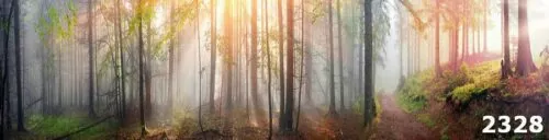 Стекло для кухни на фартук Солнце в лесу