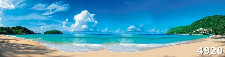 Изображение для скинали арт. 4920